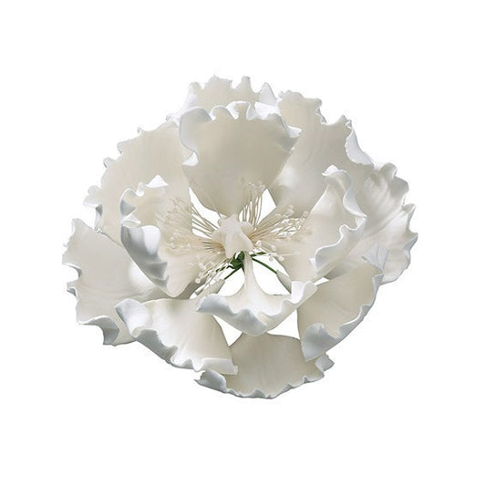 Peony White 101mm