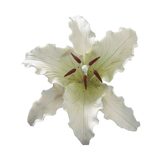 Stargazer Lily 127mm