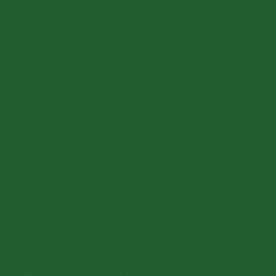 PME Colour Paste - Pea Green - 25g